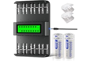 Mspalocell Baterie D Akumulator z ładowarką, 4 sztuki 1,2 V 8800 mHAH bateria mono, ładowarka do akumulatorów AA/AAA/C/D (NI-MH/Ni-CD), niezależne/mieszane ładowanie