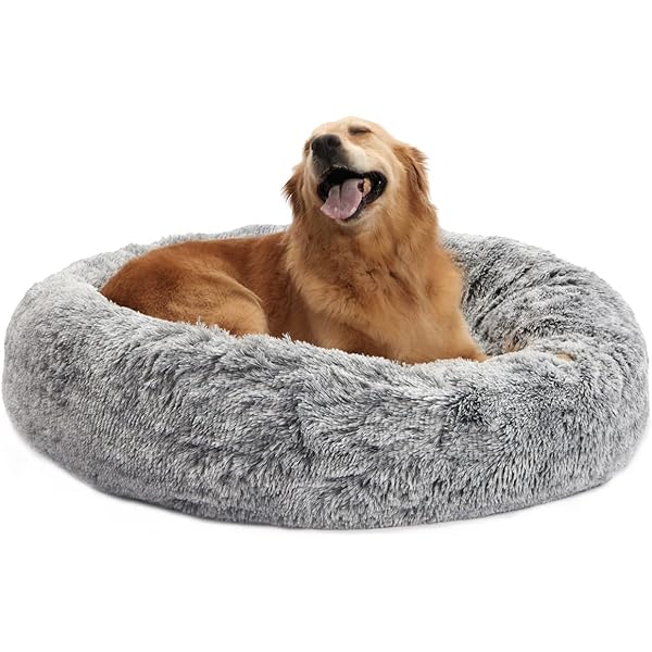 The Original Human Dog Bed Giant Dog Beds For Humans Plufl