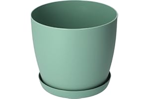 KADAX Macetero con plato, maceta redonda de plástico, maceta mate para cactus, helechos, maceta brillante para balcón, apartamento y terraza (12 cm, menta)