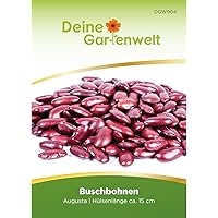 Kidneybohnen Samen | Buschbohnen Augusta | Bohnensamen | Saatgut für Bohnen