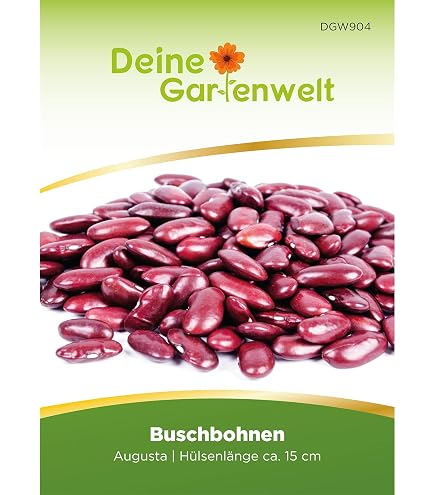 Seedeo Buschbohne Black Turtle(Phaseolus vulgaris L.) 30 Samen BIO :  Amazon.de: Garten