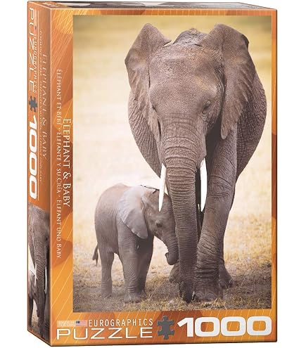 Puzzle Für Erwachsene 1000 Teile – Strandmotiv Mit Seestern & Muscheln, Buchstaben Auf Rückseite, Staubfrei, Fertige Größe 70x50 Cm, In Geschenkbox