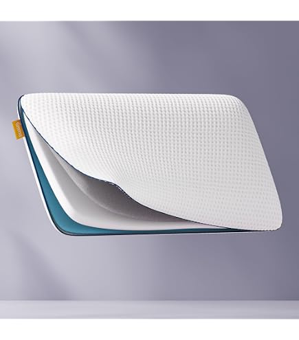 Oreiller Continental 70x80 Cm Anti-Allergique - Confort Et Hygiène Parfaits