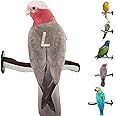 SWEET FEET AND BEAK Superoost Manzanita Pumice Pedicure Perch- Easy to Install Bird Cage Accessories for Healthy Feet, Nails and Beak - Natural Bird Perches Imitates Birds' Life in The Wild - L 12"