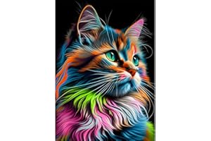 MXJSUA Chat Coloré DIY Diamond Painting Kits，Diamond Painting Complet，Diamond Art Painting，Painting Diamant Pour La Décoration Murale De La Maison 30x40cm