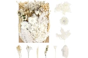 Sularpek Dried Flowers - Natural, Pressed for DIY Art & Decoration