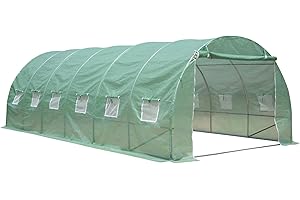 Zelsius Foliengewächshaus (L) 600 x (B) 300 x (H) 200 cm | stabiles Tomatengewächshaus, Folienzelt, Gewächshaus für Garten | Tomatenhaus, Folien Treibhaus, Pflanzenzelt, Frühbeet
