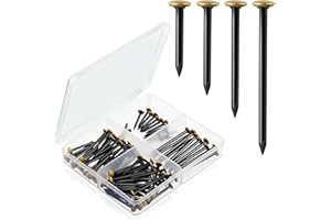 ZHIQIN 120 Pezzi Chiodi per Quadri con Testa Dorata da 20/25/30/40mm Chiodi in Acciaio in Ottone Chiodini per Quadri con Scatola Portachiodi per Quadri Cornici Legno Trapanare Cemento