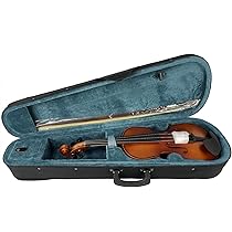 Carlo giordano カルロジョルダーノ VS-0-44 4/4 Carlo Giordano Vs-0 4/4 Violin | eBay