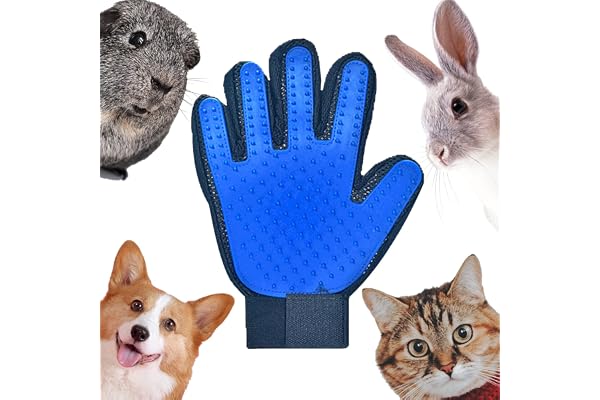 DEEDPF Rengöringshandske för husdjur, husdjurshandske, massagehandske, lång hår, kort hår, katt, hund, marsvin, häst, kanin