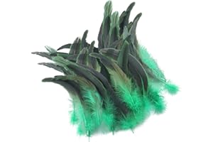 DIIWMME 50 plumas de gallo naturales, plumas de faisán de 20-25 cm para manualidades, cola de gallo verde, plumas de faisán para manualidades, bodas, hogar, fiestas (50)