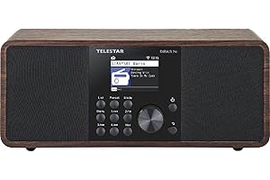 Telestar DIRA S 24i Portable Numérique Noir, Bois