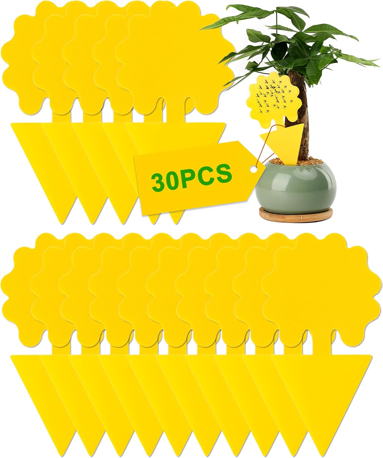 Qualité de Fabrication & Durabilité : Acual 30-pack fruktflugfällor gula dubbelsidi