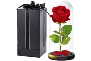 Ewige Rose im Glas mit Licht,ELEUTH Schöne und Das Biest Rose Geschenke für Freundin Konservierte Rose,Infinity Rose Geburtstagsgeschenk für frauen/Jahrestag/Valentinstag/Muttertagsgeschenke für mama