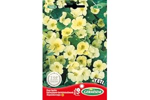 Germisem Yeti Semi di Crescione Cappuccino 5 g