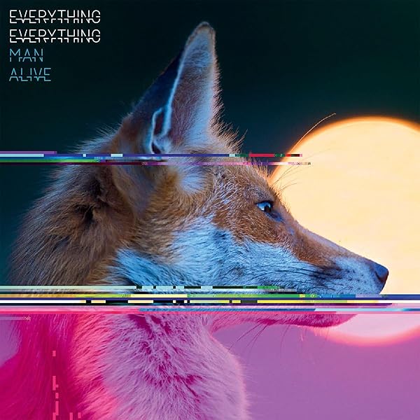★Everything Everything★A Fever Dream★LP A Fever Dream: Everything Everything: Amazon.es: CD y vinilos}