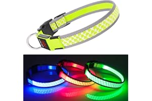 Hundehalsband Leuchtend DQGHQME Leuchthalsband Hund USB Aufladbar Anione LED Halsband für Hunde Verstellbares Reflektierendes Bezaubernd Leuchtendes Hundehalsband kleine, Mitte, Große Hunde (Grün)