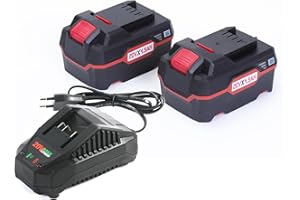 HHiMXPO 2X 20V 4.3Ah Reemplazo Li-Ion Batería 1x 21V 2.4Amp Cargador rápido Compatible con Parkside 20V Li-Ion Tools