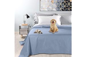 Byour3 - wasserdichte Doppel Tagesdecke Gemischte Baumwolle Bettüberwurf Dekostoff Einzelbett Queen Size Wohndecke Schutz vor Hunden Katzen Kinder Kratzfest Wasserfest Waschbar (Hellblau, Einzelbett)