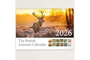 HAGUE British Animal 2026 Wall Calendar Featuring Stunning Photography of Animals from Britain - Includes All UK & World Holidays & Dates Included | Perfect Christmas Calendar for the Home and Office