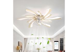 ‎YOLEDY YOLEDY Deckenventilator mit Beleuchtung und Fernbedienung Leise, Deckenlampe mit Ventilator DC, Blumiges Modernes Design, 6 Stufen Reversibeler Motor, Dimmbar, für Schlafzimmer, Küche, Büro, Gold