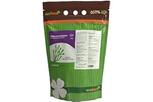 CULTIVERS Terre de diatomées moulue 5 kg. 100% Naturel et écologique. Non calciné avec Une Grande pureté, sans traitements ni résidus. Meulage E551C de qualité Alimentaire