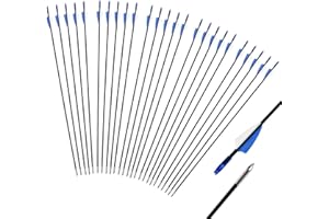 iMeshbean Fieberglaspfeile Pfeile für bogenschießen, 25 Stück Bogenpfeile Erwachsene 31 Zoll Fiberglaspfeil Jagdpfeile für Bogen, Recurvebogen, Sportbogen