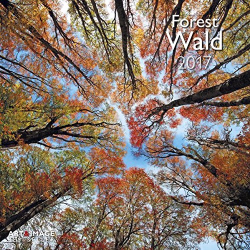 Wald 2017 - A&I Landschaftskalender, Naturkalender, Wandkalender - 30 x 30 cm