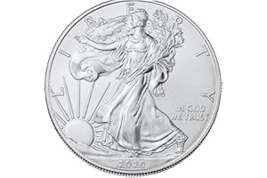 RULUTI Regalo Antico Ocean Tedoforo Moneta d'Argento Placcato Uncirculated Dollari Us Home Decoration Commemorativa della Moneta d'Argento