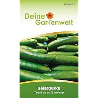 Salatgurke Tanja Gurkensamen | Samen für Gurken | Salatgurke | Salatgurkensamen | Kastengurke