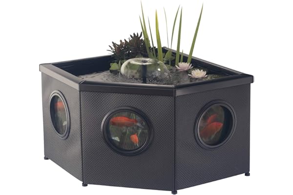 Aquagarden Affinity Pond, Kit de Bassin surélevé vitré - Bassin d'angle, Bassin décoratif, Comprend Le Bassin et Pompe à Eau Inpond 5 en 1 3000 avec clarificateur UV, Trois fontaines