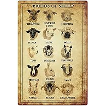 RMLYUSR Soilwork Wandschild - Metall Decor 30,5x30,5cm Retro Style