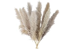 LIPJISL 8 Pcs 115cm Getrocknete Pampasgras Pflanzen Natürliche Getrocknet Pflanzen Deko Groß Pampasgras Trockenblumen Deko für Fotografie Hochzeit Party Hause Vase Dekoration Grau