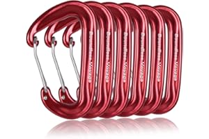 iBasingo 2-6 mosquetones sin Bloqueo, Resistentes, 12KN Anillo, duraderos, Resistentes y Ligeros, Forma de D, mosquetones de aleación de Aluminio para Hamaca, Camping, Senderismo, Pesca