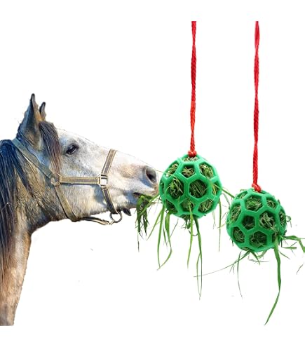 Sotiff Lot de 2 grandes balles de cheval de 63,5 cm pour jouer au troupeau, jouets de football anti-éclatement, pompe incluse Sotiff Lot de 2 grandes balles de cheval de 63,5 cm pour jouer au troupeau, jouets de football anti-éclatement, pompe incluse