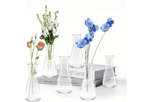 LUOJINYI Små vaser, 6 stycken glas vaser, liten bordsdekoration för bröllopsdekoration, små glasvaser, blomma, glasflaskor fö