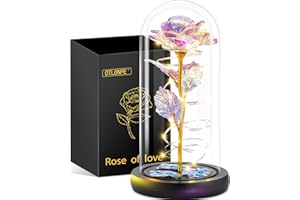 ‎OTLONPE Otlonpe Ewige Rose Geschenke für Frauen, Blumen Geburtstagsgeschenk Weihnachten Geschenke Muttertagsgeschenke Valentinstag Rose Geschenk für Sie Fraue Mama Freundin Oma
