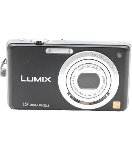 Panasonic LUMIX DMC-FS10 Digital Camera Silver 12 Megapixels 5x