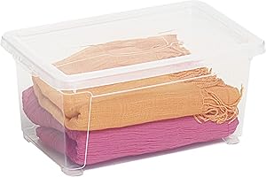 Dea Home Z330M005 Contenitore Easy Box XS, 5 L, 30x20x13, Trasparente