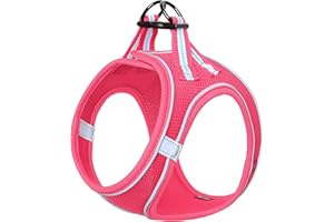 HEELE Harnais Chien Harnais Chien Anti-Traction Réfléchissant Gilet Réglable Harnais pour Petit Chien pour Randonnée Trajet Voiture Jack Russell Harnais Réfléchissant Respirante Durable, Rose-Rouge, S