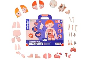 mierEdu Human Body Model for Kids, Anatomy Model, Magnet Toys, Fridge Magnets for Kids with Magnet Board for Wall, 37 piece Magnetic Puzzles, Birthady Gift for 3 4 5 6 7 Years Old Boy Girl