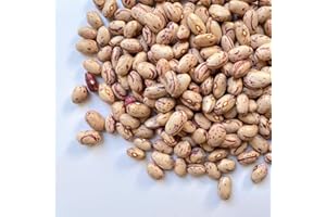 IL CONTADINO - ANTICHI SAPORI FAGIOLI BORLOTTI ITALIA BIO | Il Contadino | Legumi Secchi (5 Kg)