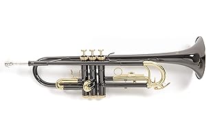 Roy Benson Bb-Trompete TR-101K (ML Bohrung, Edelstahl Ventile, Goldmessing Mundrohr, elegantes Design, im leichten Rechtecketui, mit Rucksackfunktion), Anthrazit