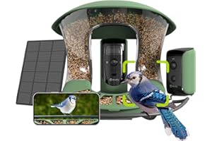 Birdfy 2 Duo Mangiatoia per Uccelli con 2 Telecamere 3 Obiettivi, Osservazione Uccelli in Diretta, IA Riconosce oltre 6000 Specie, Video al Rallentatore, Avvisi in Tempo Reale, Tracciamento Automatico