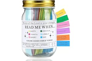 XINYIG Bi-ble Verses in A Jar,The Hope Jar Bi-ble Verses,Mini Bi-ble Verse Cards, Color Coded Bi-ble Verses Jars,Bi-ble Verses for Emotions & Feelings Jar,Bi-ble Study Supplies Gifts,Bi-ble Verses Jar