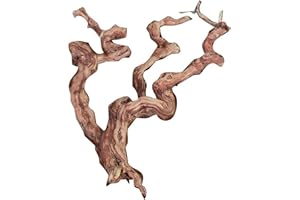 SAHAWA® Weinrebe, Rebenholz verästelt, sandgestrahlt und mit Qualitätsetikett Sahawa, 40-60 cm, Floristik, Rebe, Vogelsitzplatz, Vogelkäfig, Vogelstange