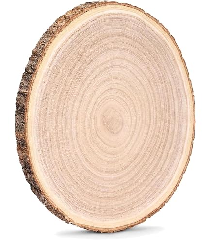 Lot De Disques En Bois à 2 Trous - Diamètre 1 à 60cm - Déco, Table, Artisanat - Marque Bütic - Neuf