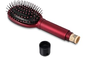 PATELAI Diversion Safe - Spazzola per capelli nascosta, per conservare denaro, contanti, chiavi, gioielli, custodia per i capelli, contenitore per viaggi o sicurezza domestica (rosso)