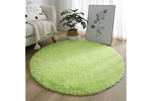 HISENG Rotonda Shaggy Tappeto per Soggiorno, Hiser Moderno Soffice Peloso Ultra Molle Antiscivolo Tappeti Moquette per Interni Divano Camera da Letto Bambino Cameretta (Verde Chiaro,100x100cm)