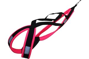 LASALINE Harnais de Traction X-Back pour Chien, Canicross Bike Ski Joering Scooter Traineau - Noir Rose néon